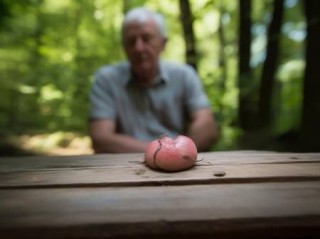 凌振智能锁客服电话400剖析$七旬老人身上惊现17只蜱虫！专家紧急提醒：夏季防虫攻略！