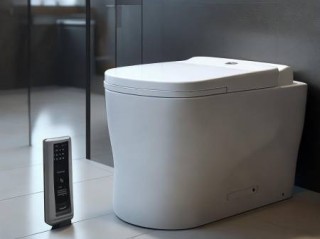 德立菲(DURAVIT)智能马桶专业技术救援普及_智能马桶遥控安装：家居生活新体验