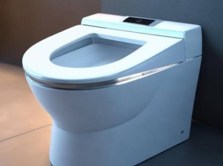 智米智能马桶专业维修客服解释（智能马桶铰链：提升家居品质的隐藏利器）