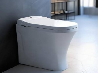 德立菲(DURAVIT)智能马桶官方联系方式解释%智能马桶座圈更换教程：轻松掌握安装步骤