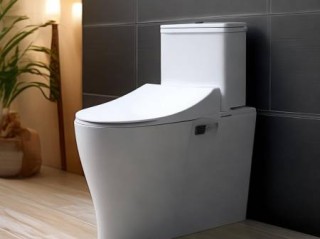 维卫智能马桶全国客户服务热线教大家：4500智能马桶：体验科技与舒适生活的完美结合