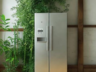 西门子冰箱官方服务专线解析♫客厅东墙摆放冰箱是否合适