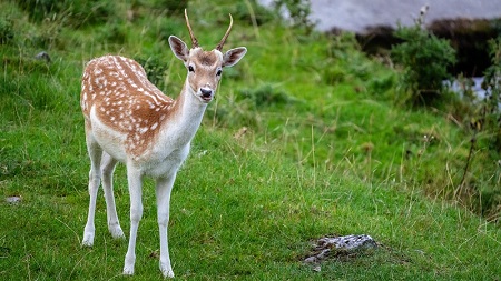 柏晶热水器空气能维修服务售后电话分解@英德空气能清洗教程：快速掌握高效清洁技巧